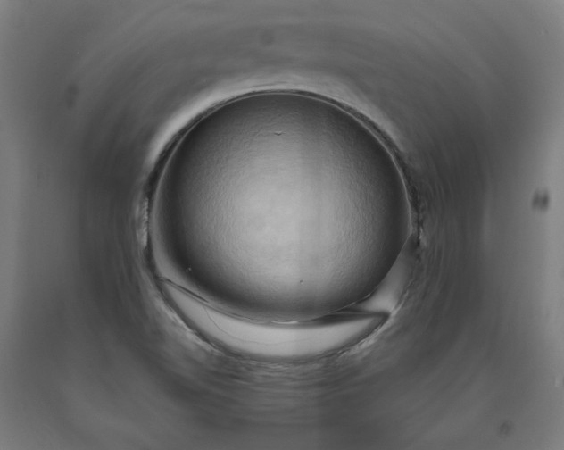 X0000090631510200707311254