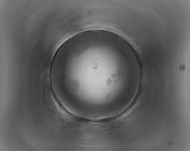 X0000090631513200707311254