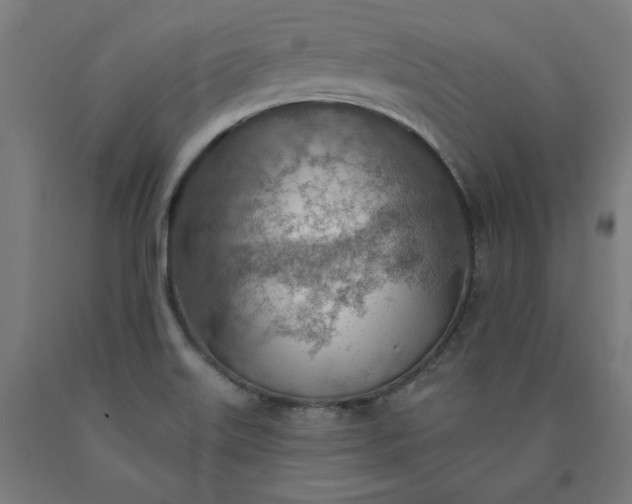 X0000090631515200707311254