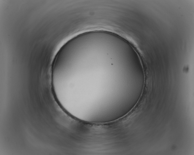X0000090631516200707311254