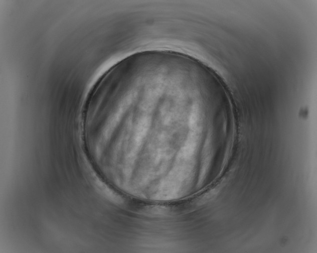 X0000090631517200707311254