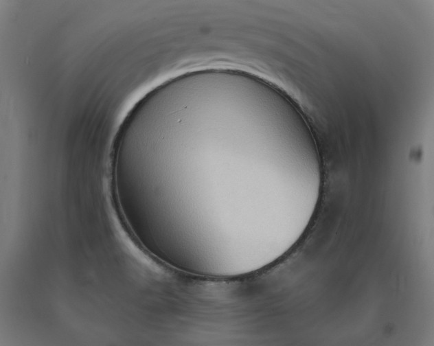 X0000090631518200707311254