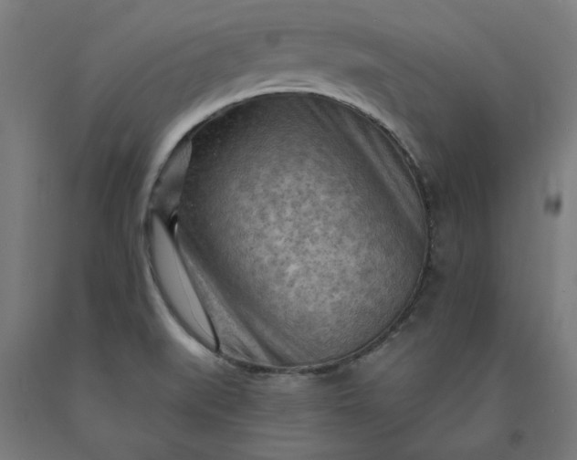 X0000090631519200707311254