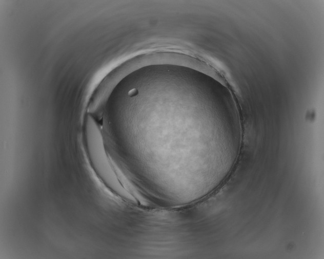 X0000090631520200707311254