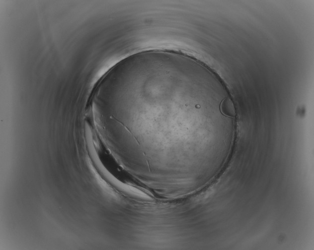 X0000090631521200707311254