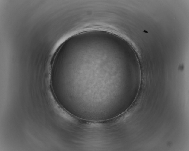X0000090631522200707311254