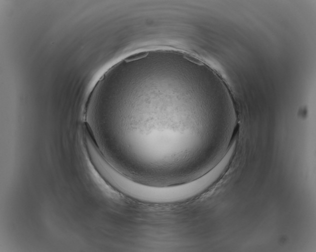 X0000090631524200707311254
