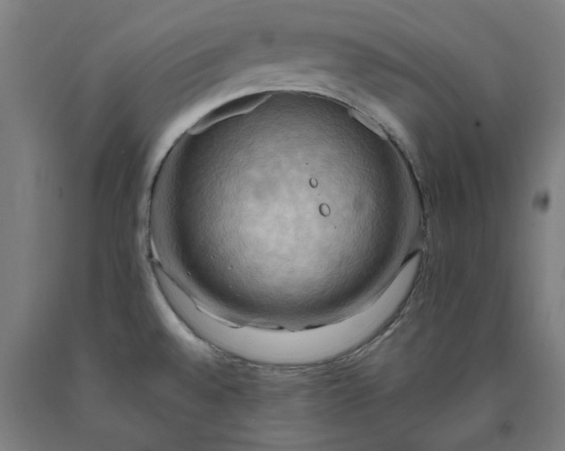 X0000090631528200707311254