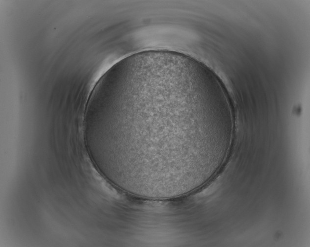 X0000090631529200707311254