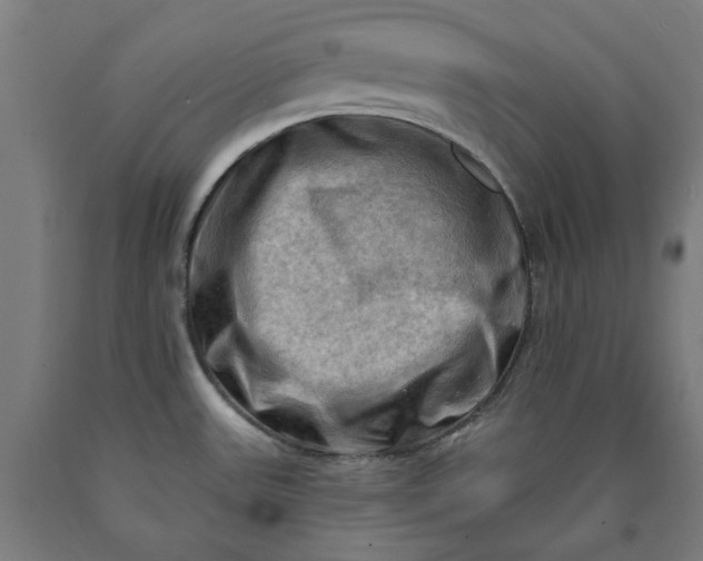 X0000090631531200707311254