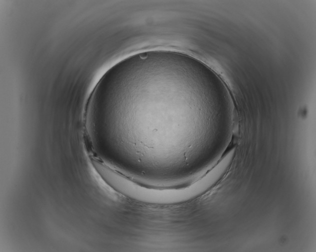 X0000090631532200707311254