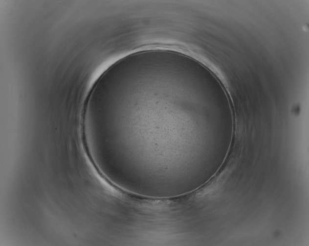 X0000090631533200707311254