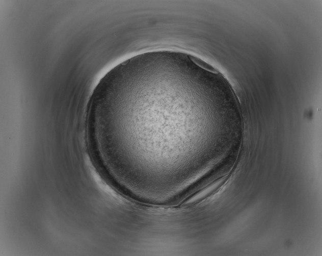 X0000090631534200707311255