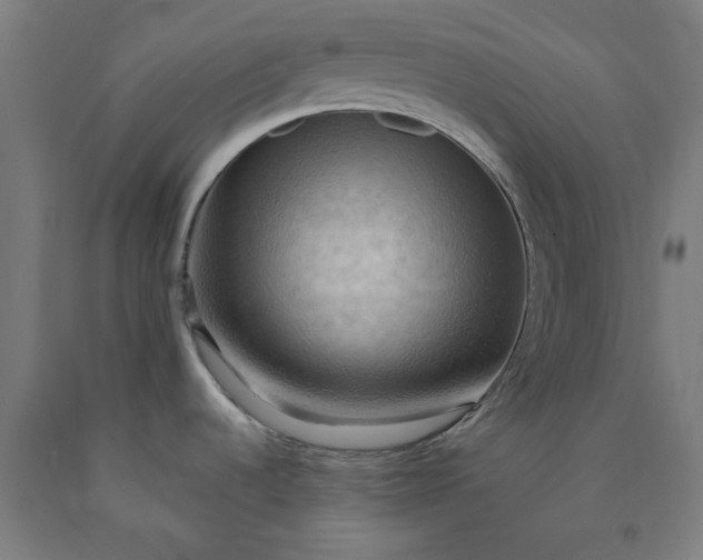 X0000090631536200707311255
