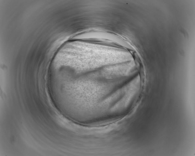 X0000090630001200708071255