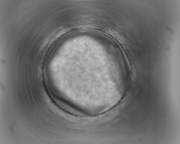 X0000090630002200708071255