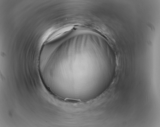 X0000090630003200708071255