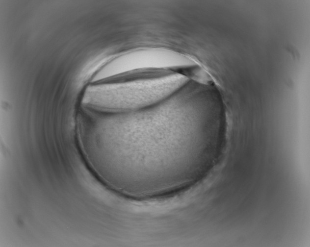 X0000090630005200708071255