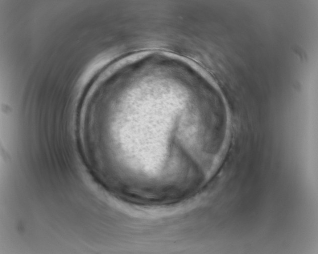 X0000090630006200708071255