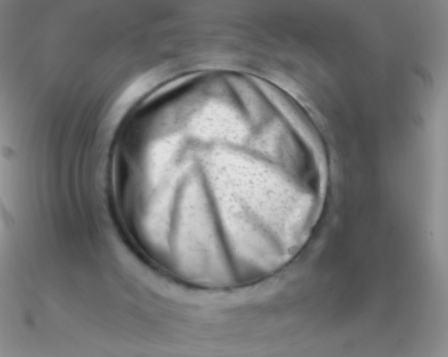 X0000090630007200708071255