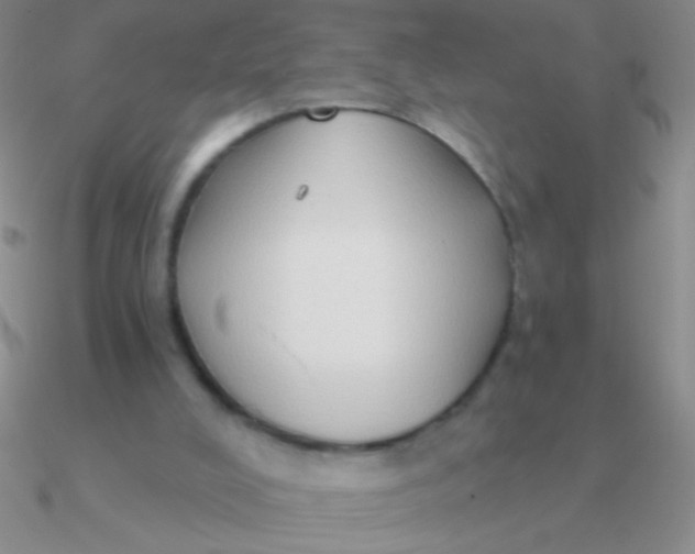 X0000090630008200708071255