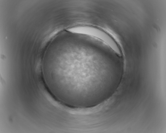 X0000090630009200708071255