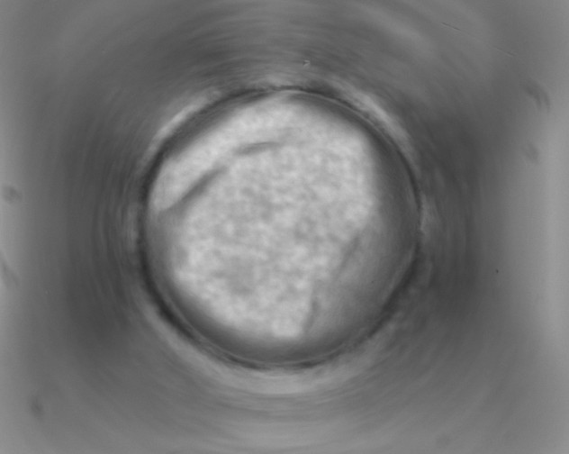 X0000090630010200708071255