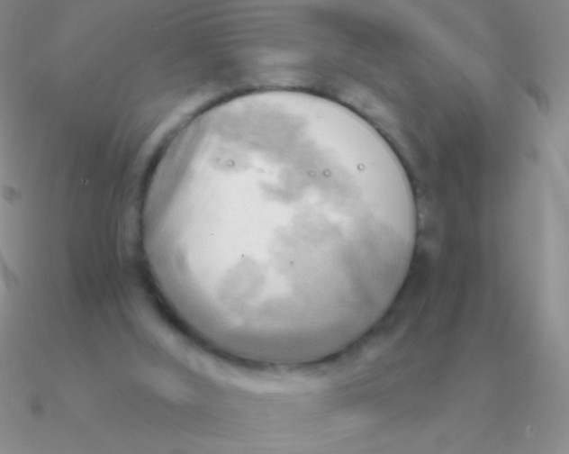 X0000090630012200708071255