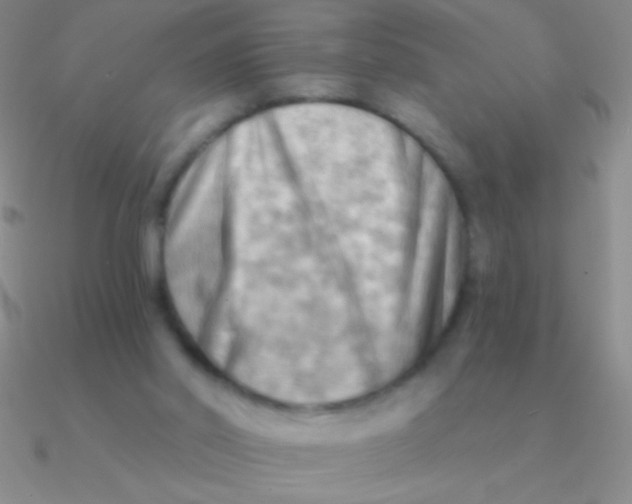 X0000090630014200708071255