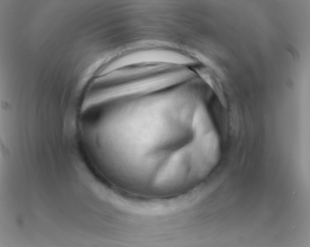 X0000090630015200708071255