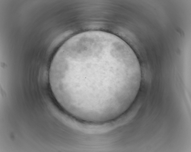 X0000090630016200708071255