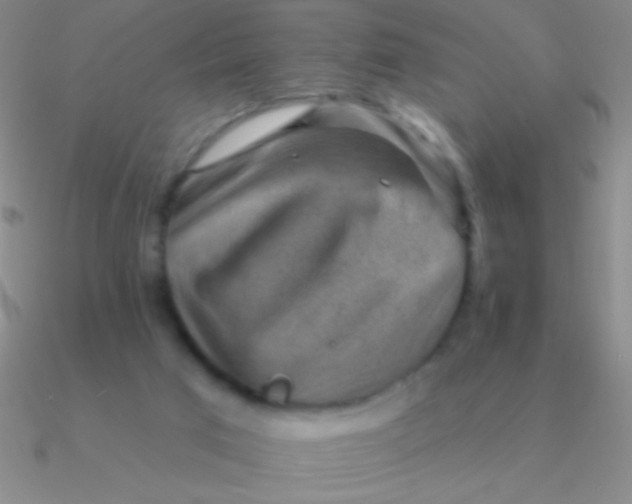 X0000090630017200708071255