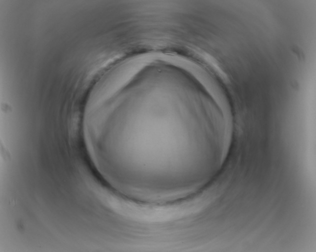 X0000090630018200708071255