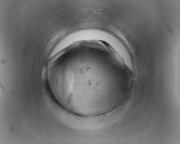 X0000090630019200708071255