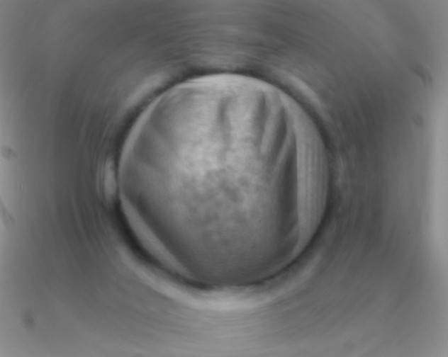 X0000090630020200708071255