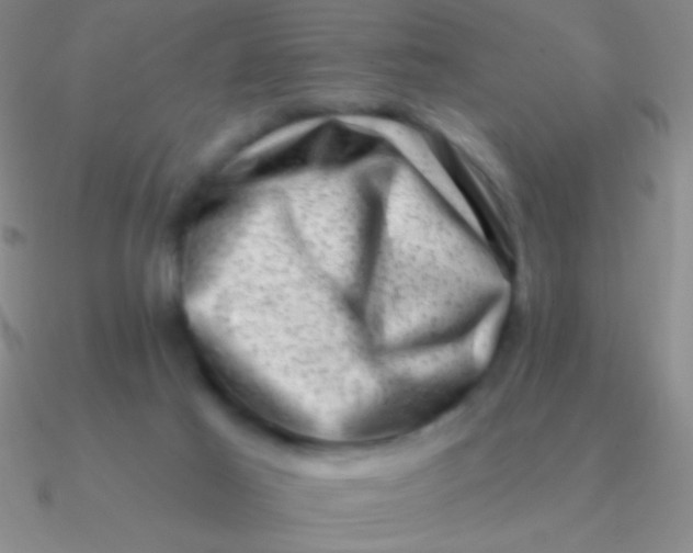 X0000090630021200708071255