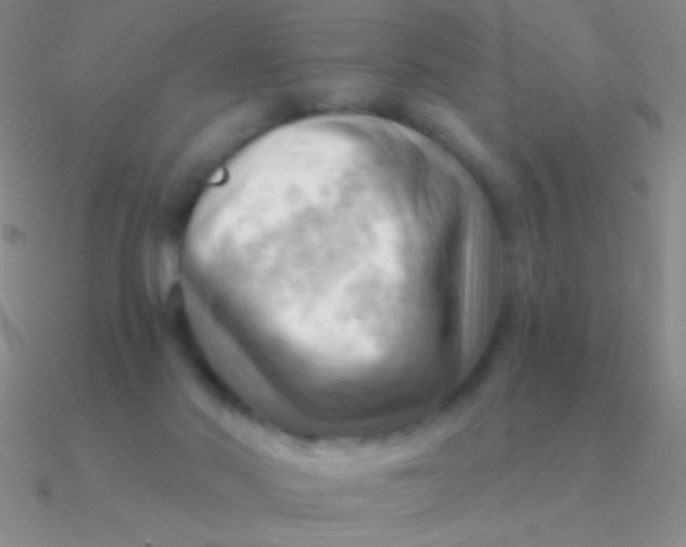 X0000090630022200708071255