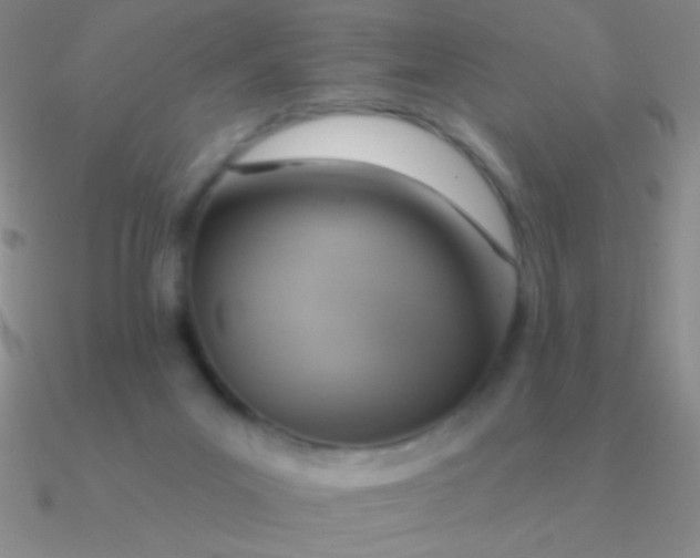 X0000090630023200708071255