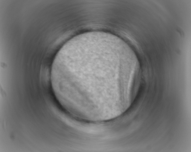 X0000090630024200708071255