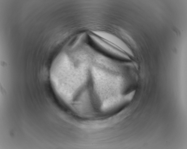 X0000090630025200708071255