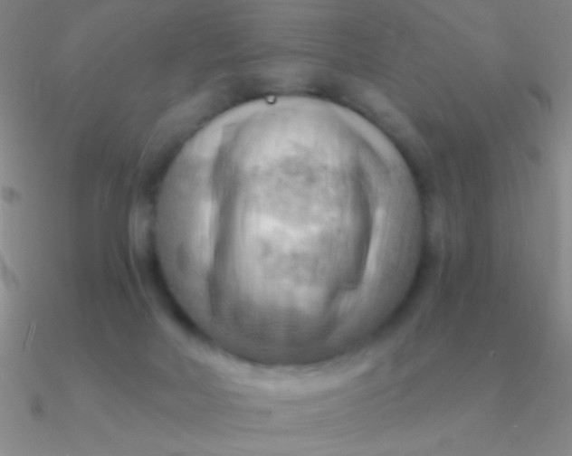 X0000090630026200708071255