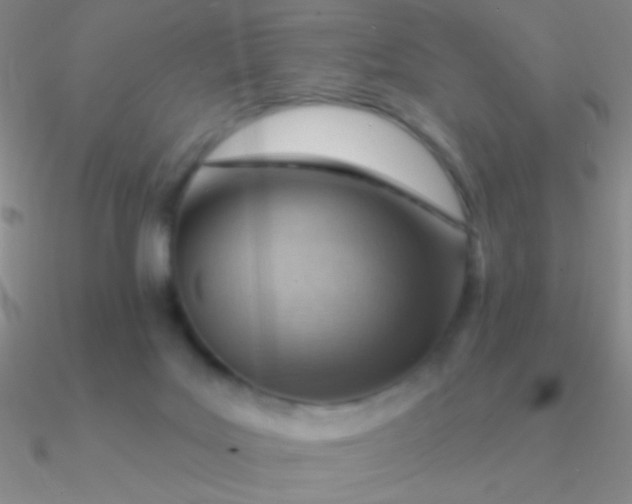 X0000090630027200708071255