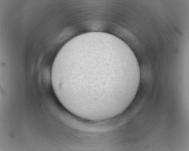 X0000090630028200708071255