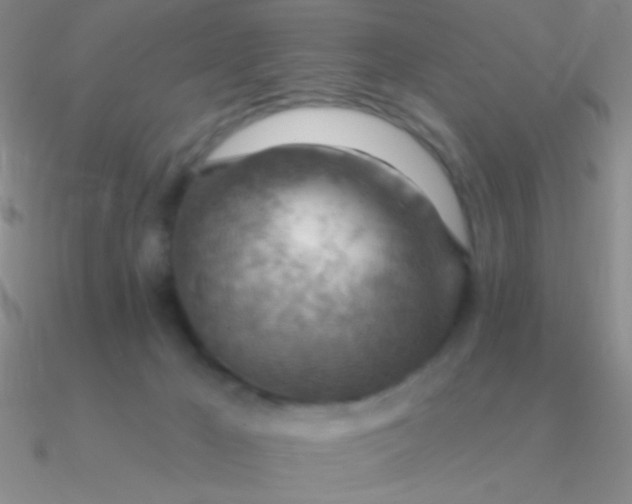 X0000090630029200708071255