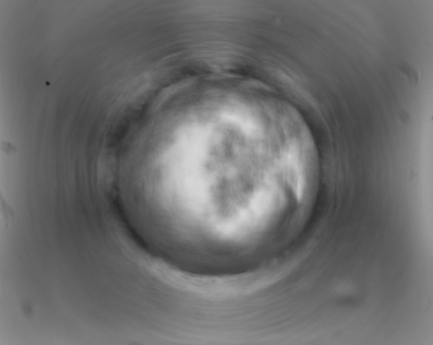 X0000090630030200708071255