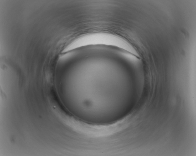 X0000090630031200708071255