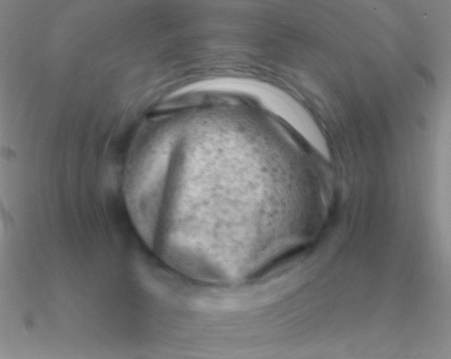 X0000090630033200708071255