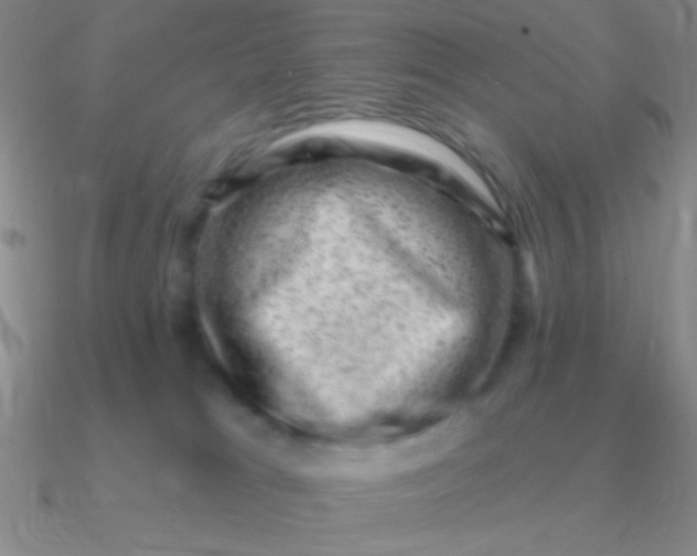 X0000090630037200708071255