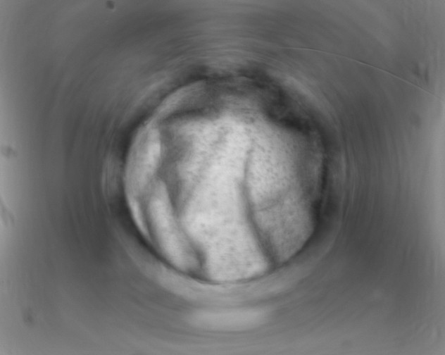 X0000090630038200708071255