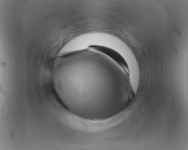 X0000090630039200708071255